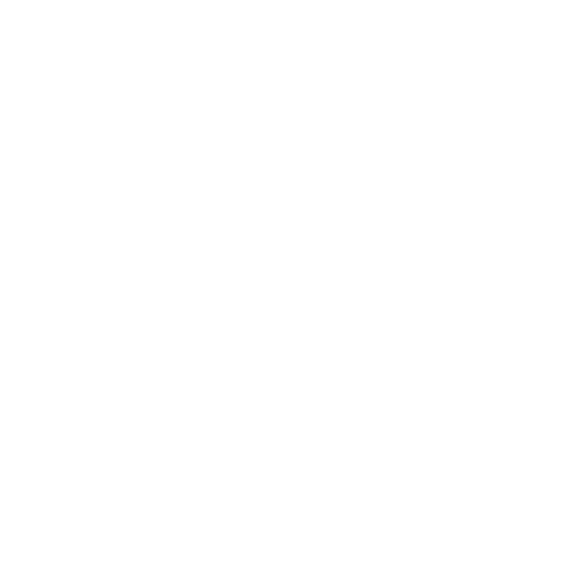 Zanardi